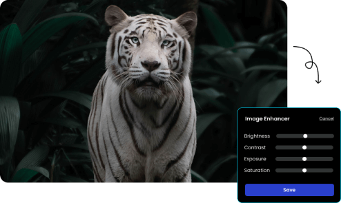 Experience Power of xoomini